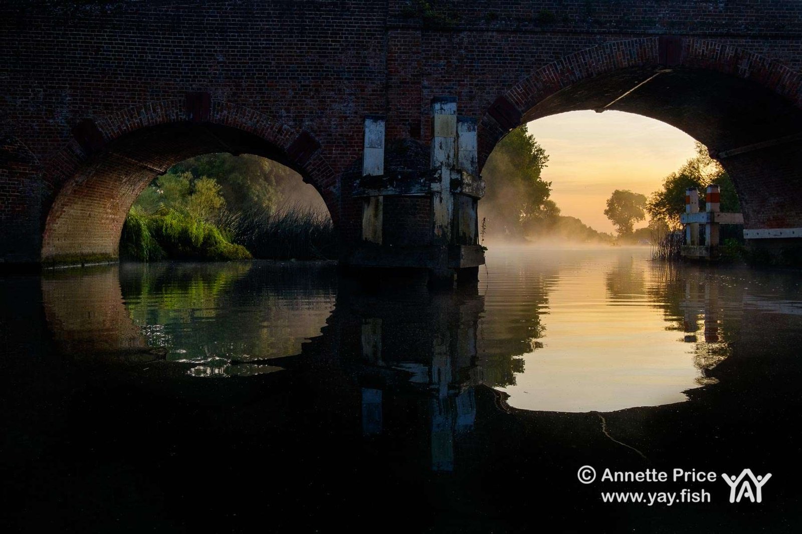 Sonning Bridge at dawn. River Thames.