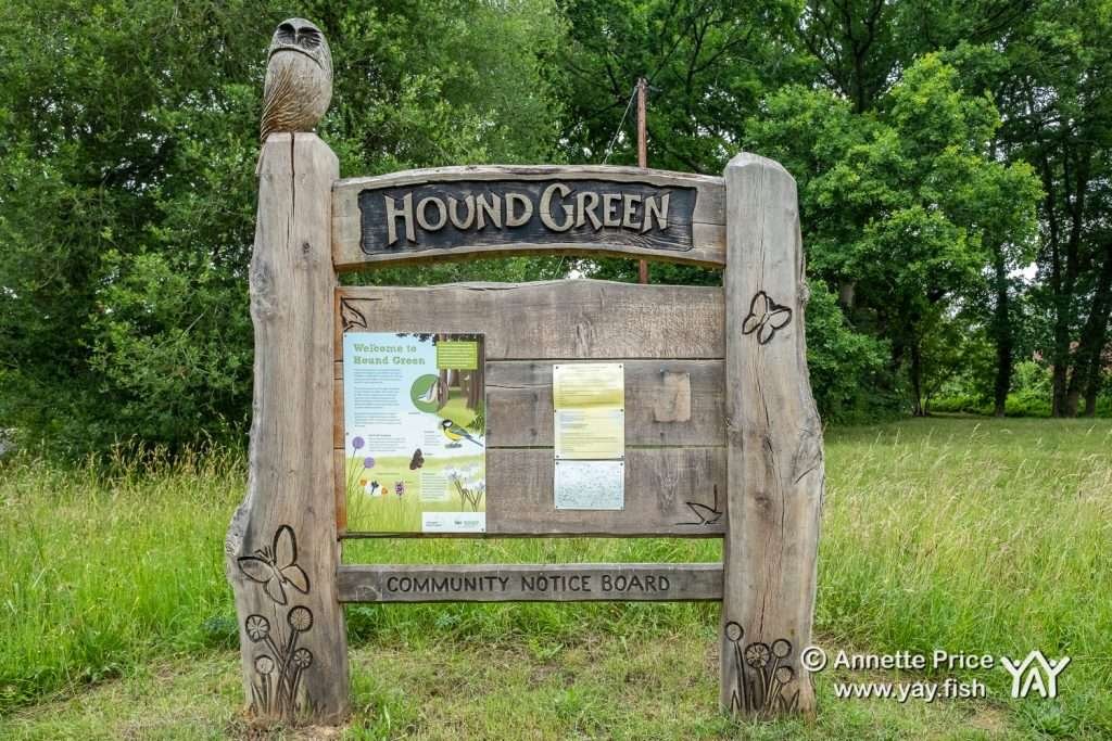 Hazeley Heath and Mattingley: An enchanting historic walk in Hampshire. 5 Hound Green. Mattingley, Hampshire. UK.