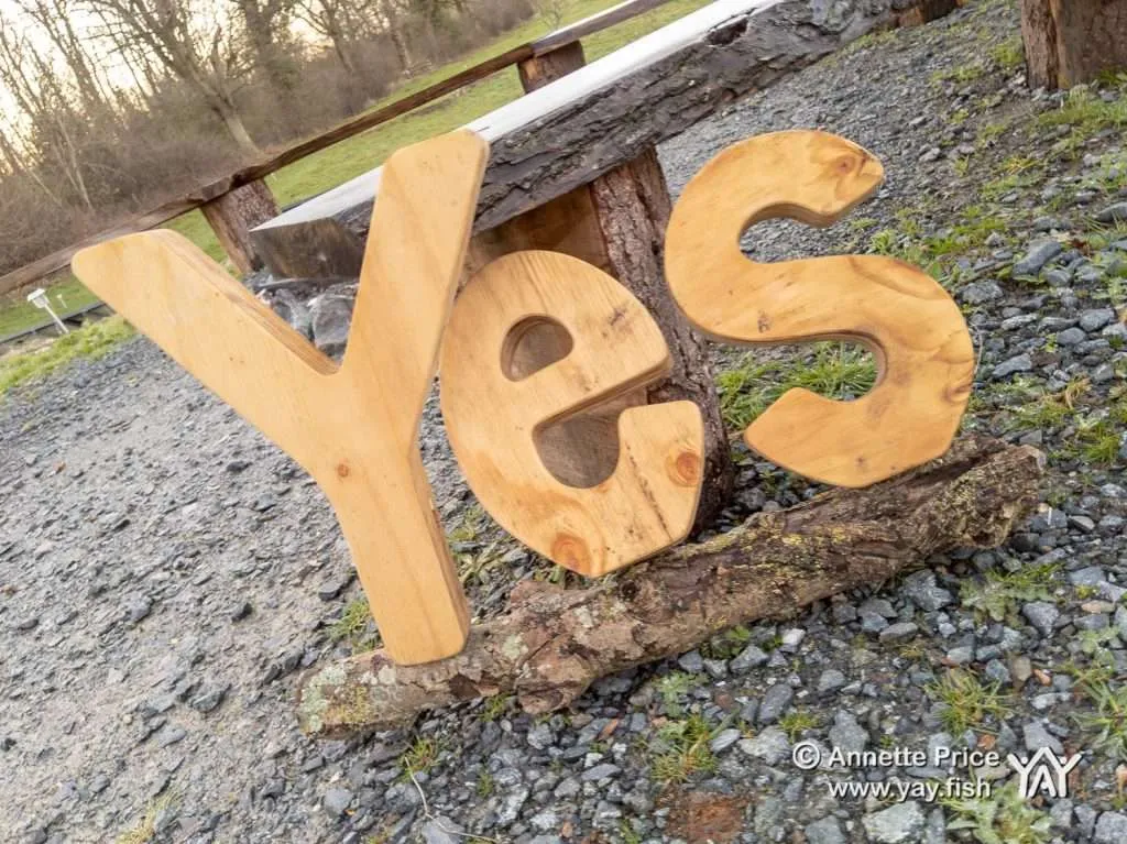 Wild Camping Course. How to camp anywhere. 17 Wild Camping at the Yes Bus 17 3 19 13