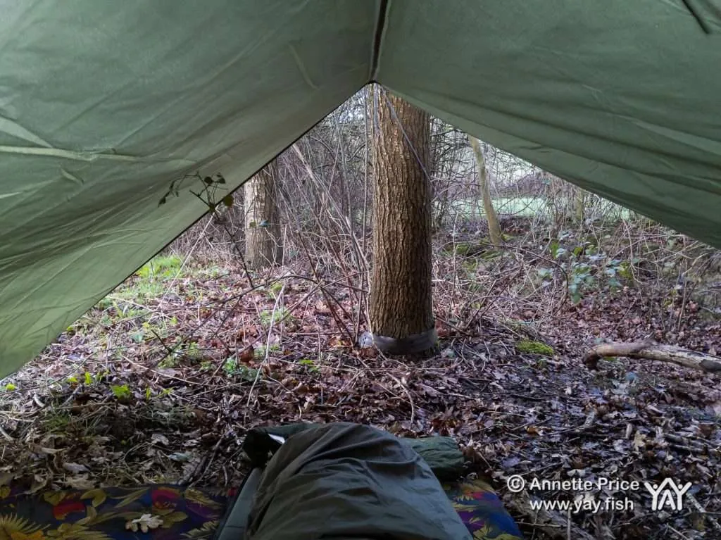 Wild Camping Course. How to camp anywhere. 10 My bed amongst the leaves.