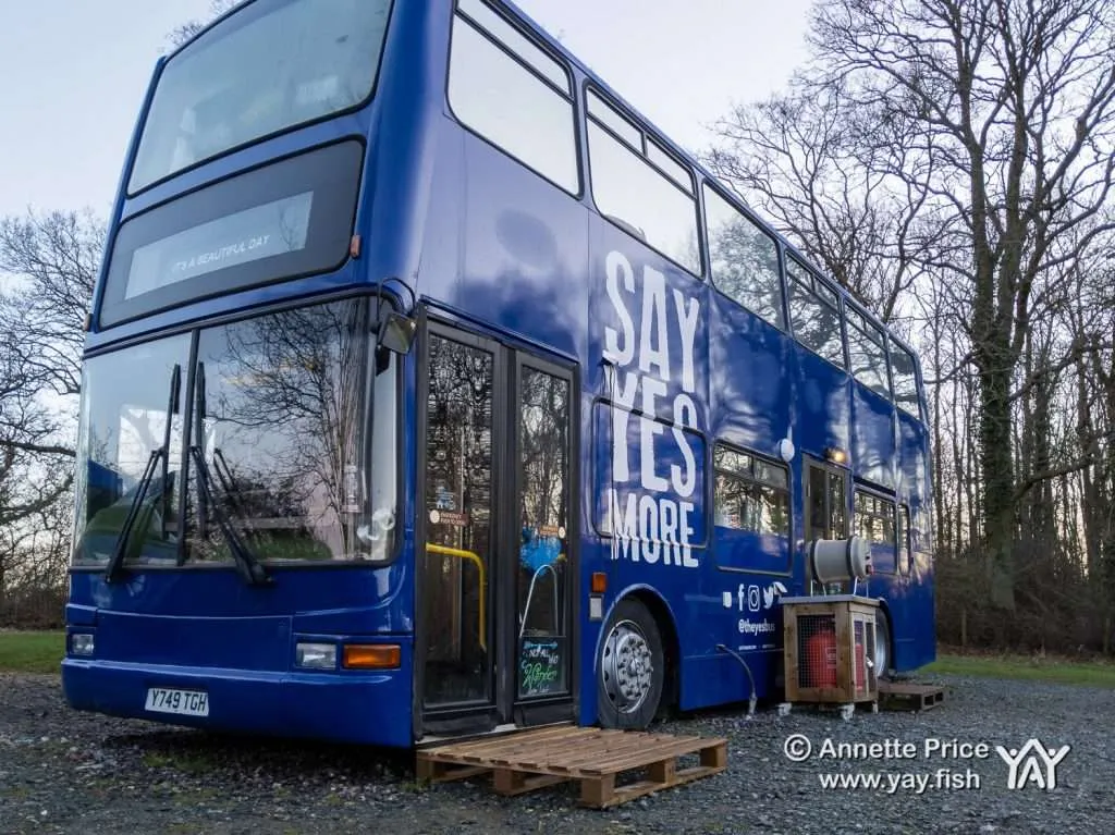 Wild Camping Course. How to camp anywhere. 3 Wild camping course at the Yes Bus. Part of Say Yes More. West