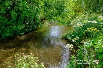 Dipley Mill, Hartley Wintney, Hook, Hampshire. UK.