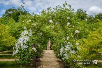 Dipley Mill, Hartley Wintney, Hook, Hampshire. UK.