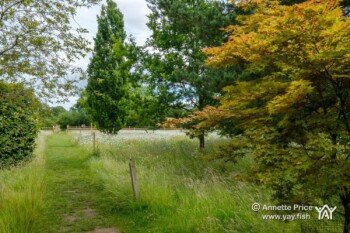 Dipley Mill, Hartley Wintney, Hook, Hampshire. UK. Dipley Mill, Hartley Wintney, Hook, Hampshire. UK.